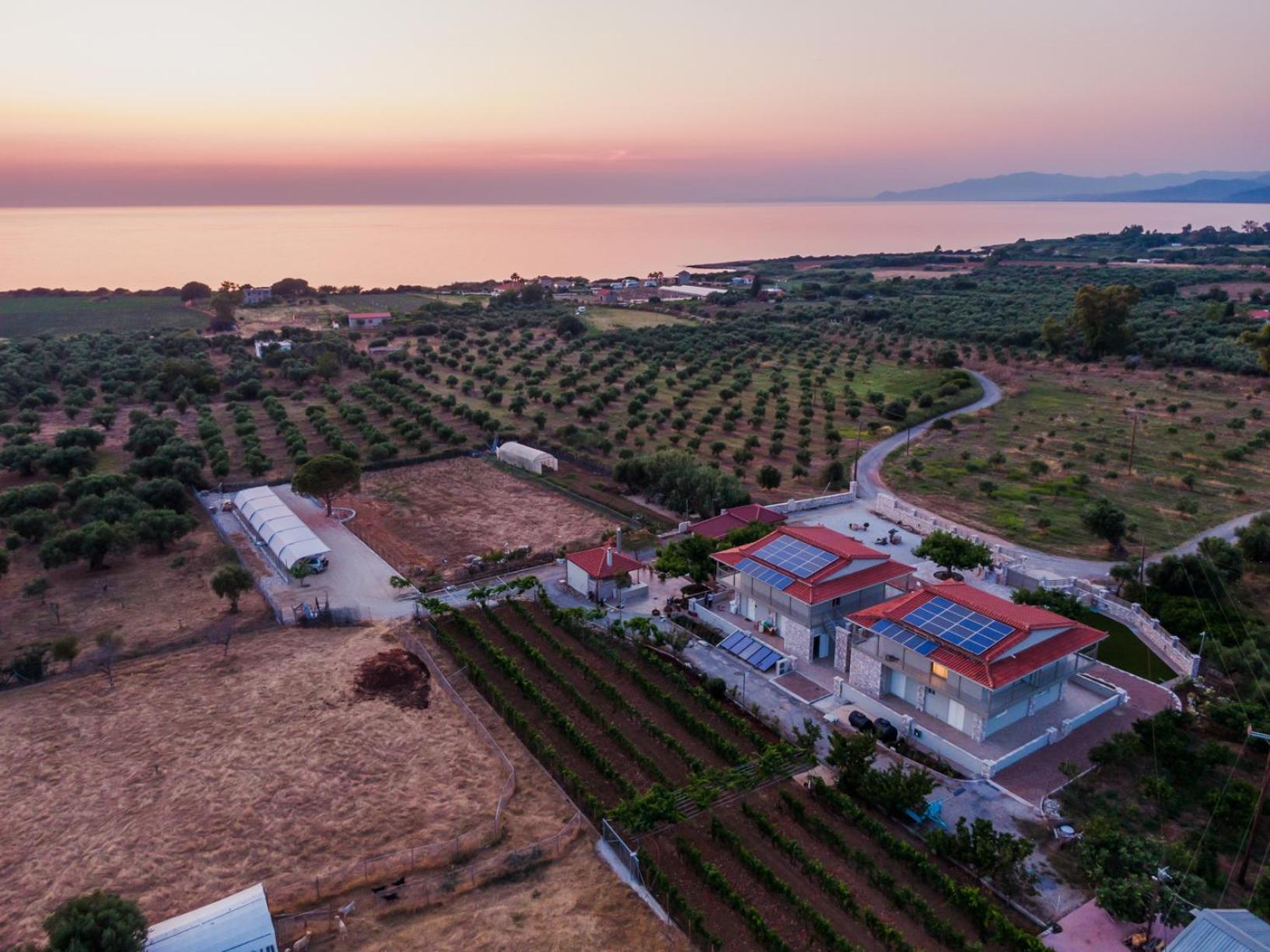 Terra Helios Suites & Studios Kyparissia Exteriér fotografie