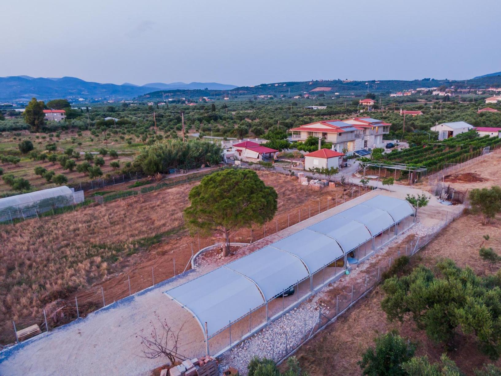 Terra Helios Suites & Studios Kyparissia Exteriér fotografie