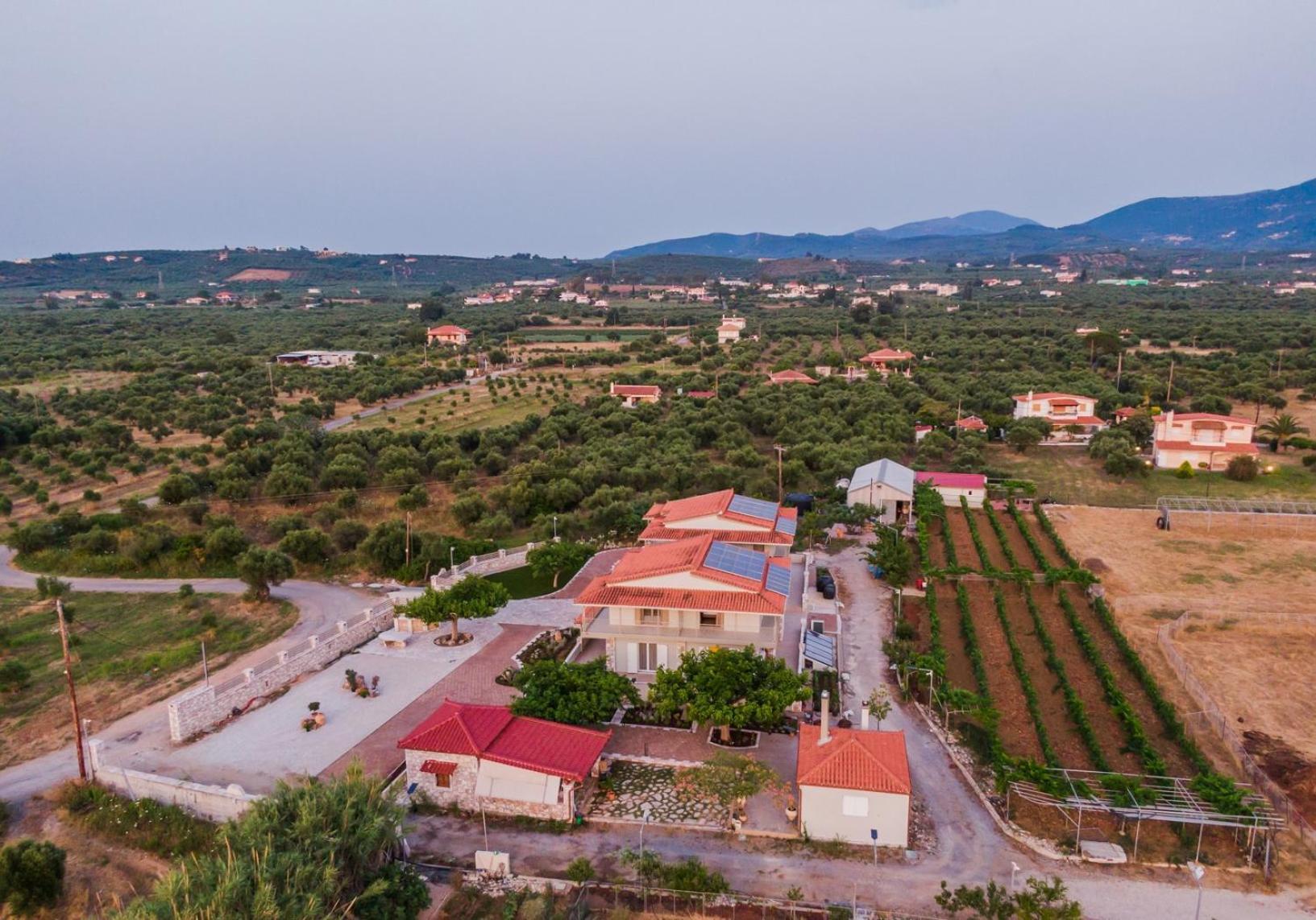 Terra Helios Suites & Studios Kyparissia Exteriér fotografie